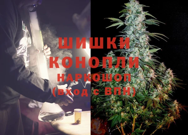 сатива Абинск