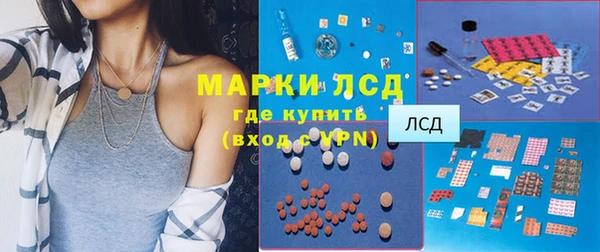 сатива Абинск