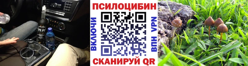 блэк спрут tor  Тогучин  Псилоцибиновые грибы Psilocybe  наркошоп 